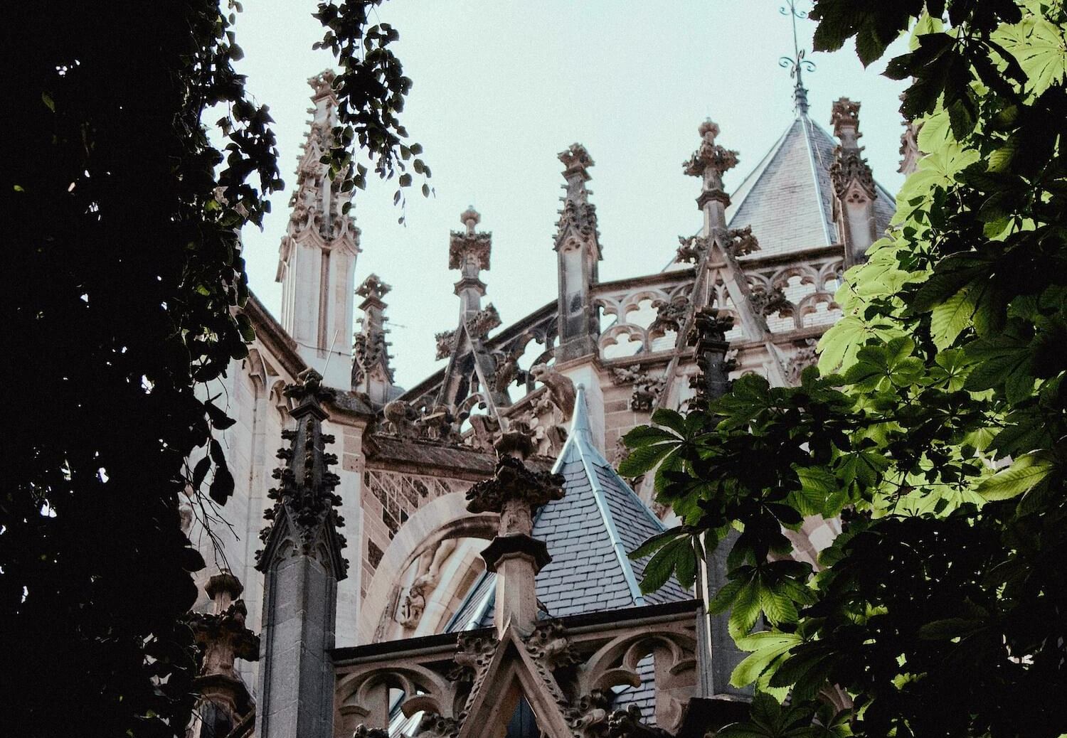 webdesign den bosch 1